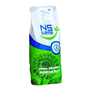 Nsseme